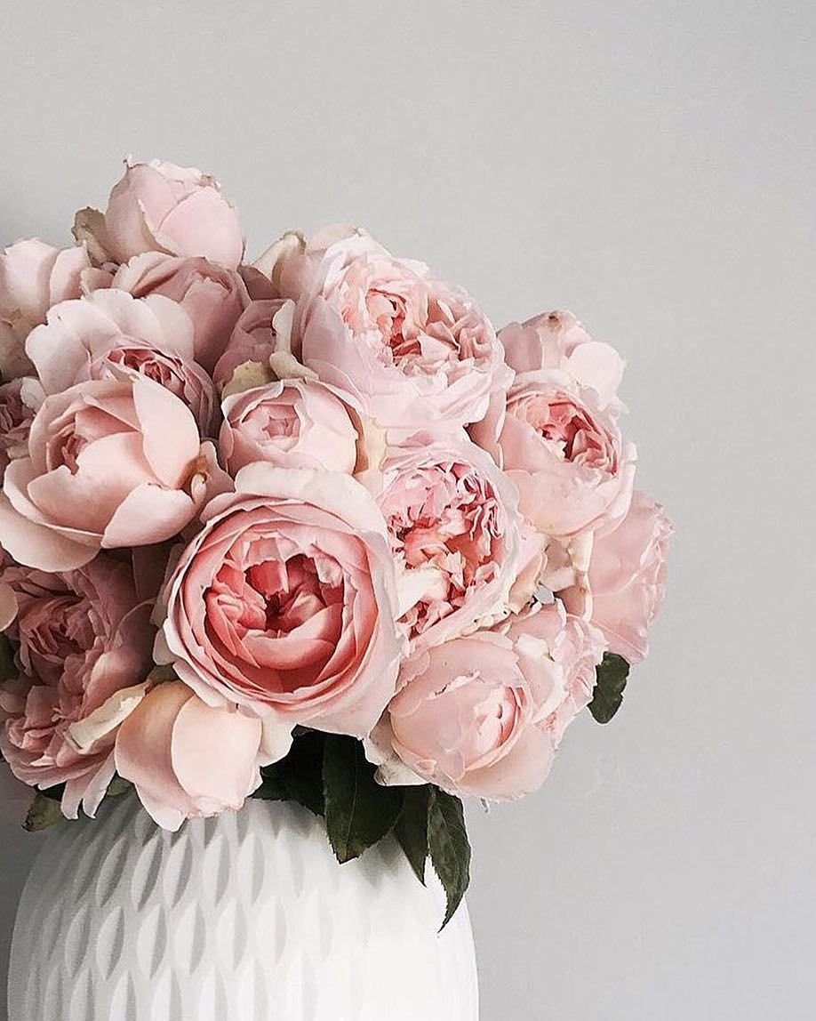 С днём рождения девушке нежные цветы