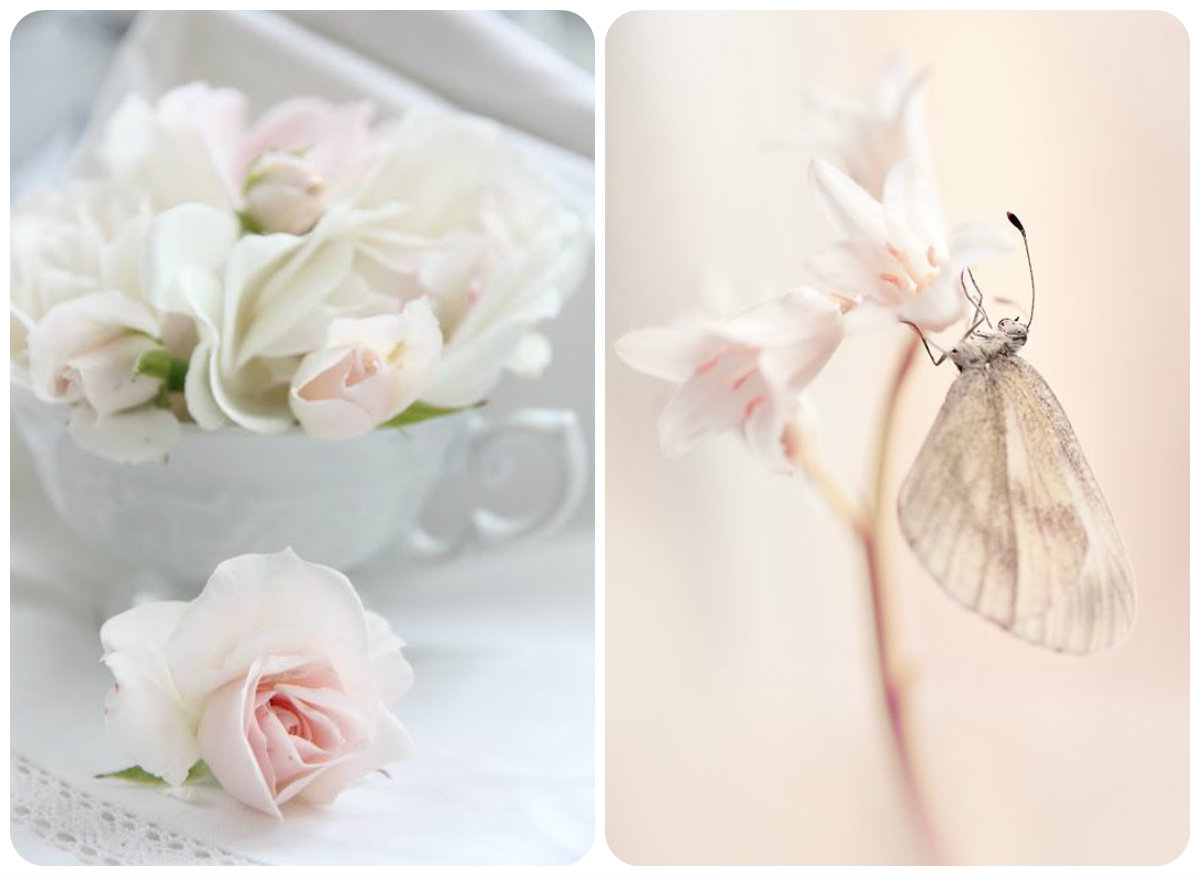 Нежные ванильные цветы