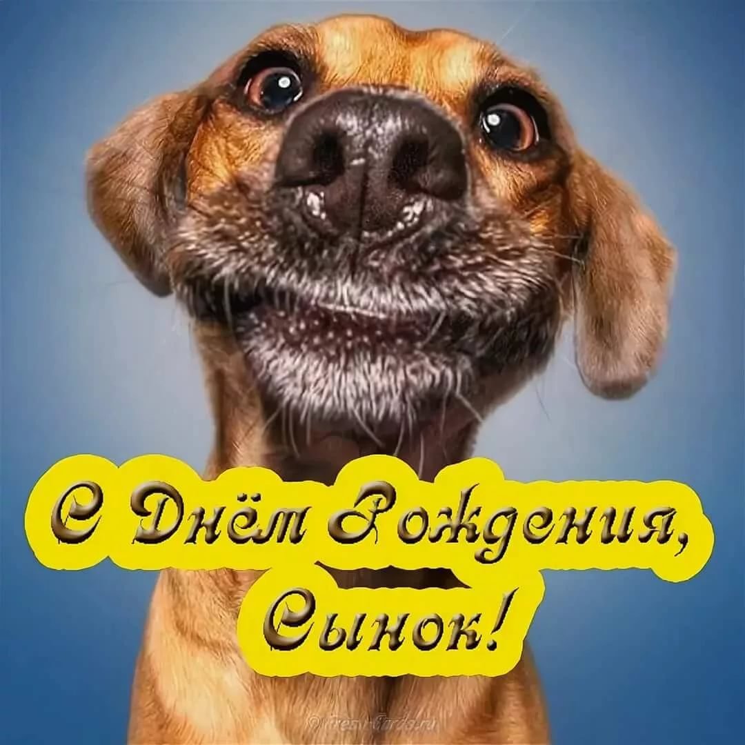 С днем рождения прикольные