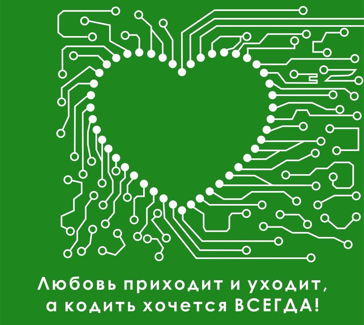 С днём рождения программусту