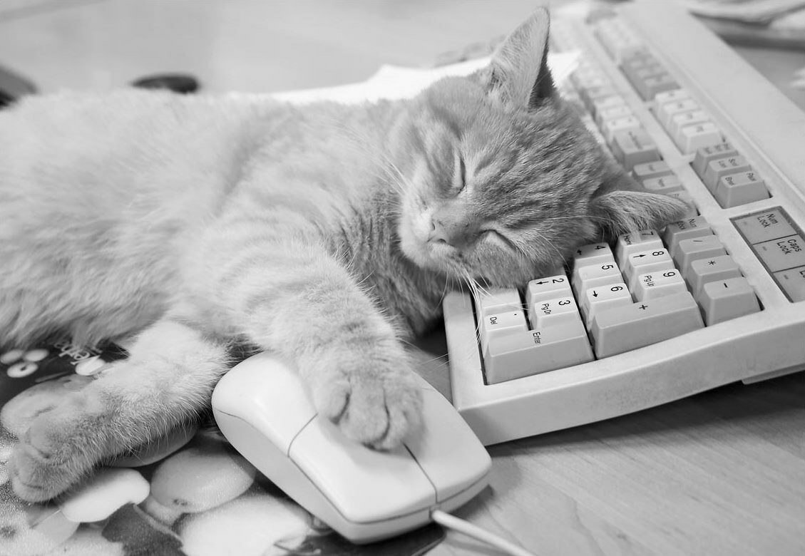 Открытка с днем рождения айтишнику