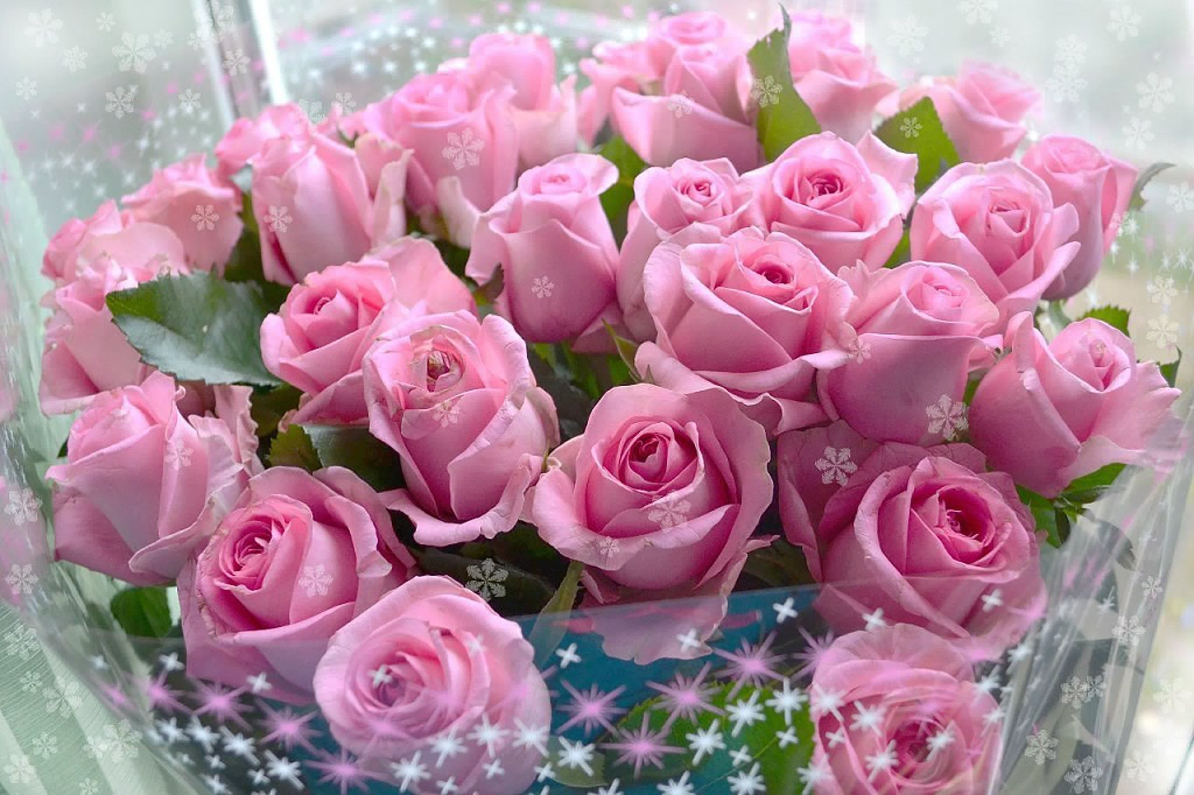 День красивых женщин. Красивые открытки. Шикарный букет для подруги. С днём рождения розы красивые. Красивые букеты с пожеланиями.