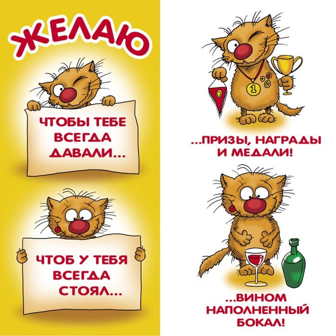 С днём рождения Миша