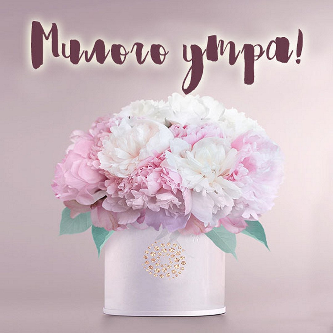 С днём рождения женщине нежные