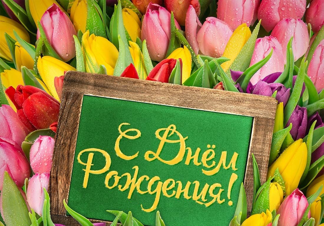 С праздником дорогие коллеги