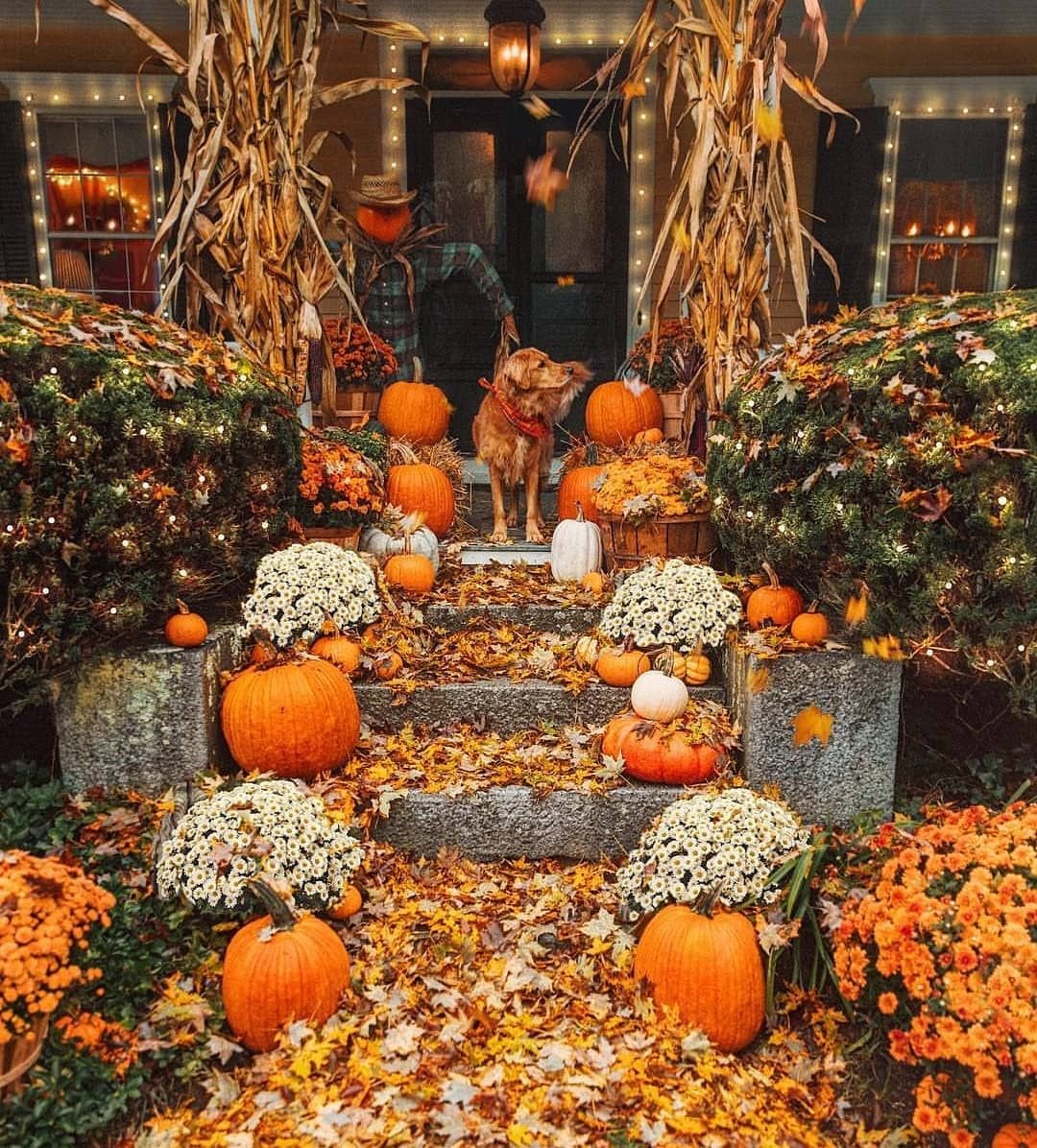 Осень тыквы