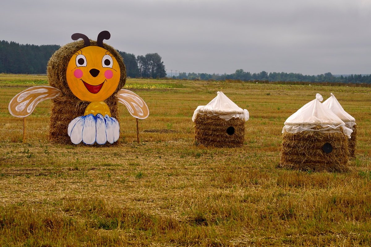 Декорации с сеном