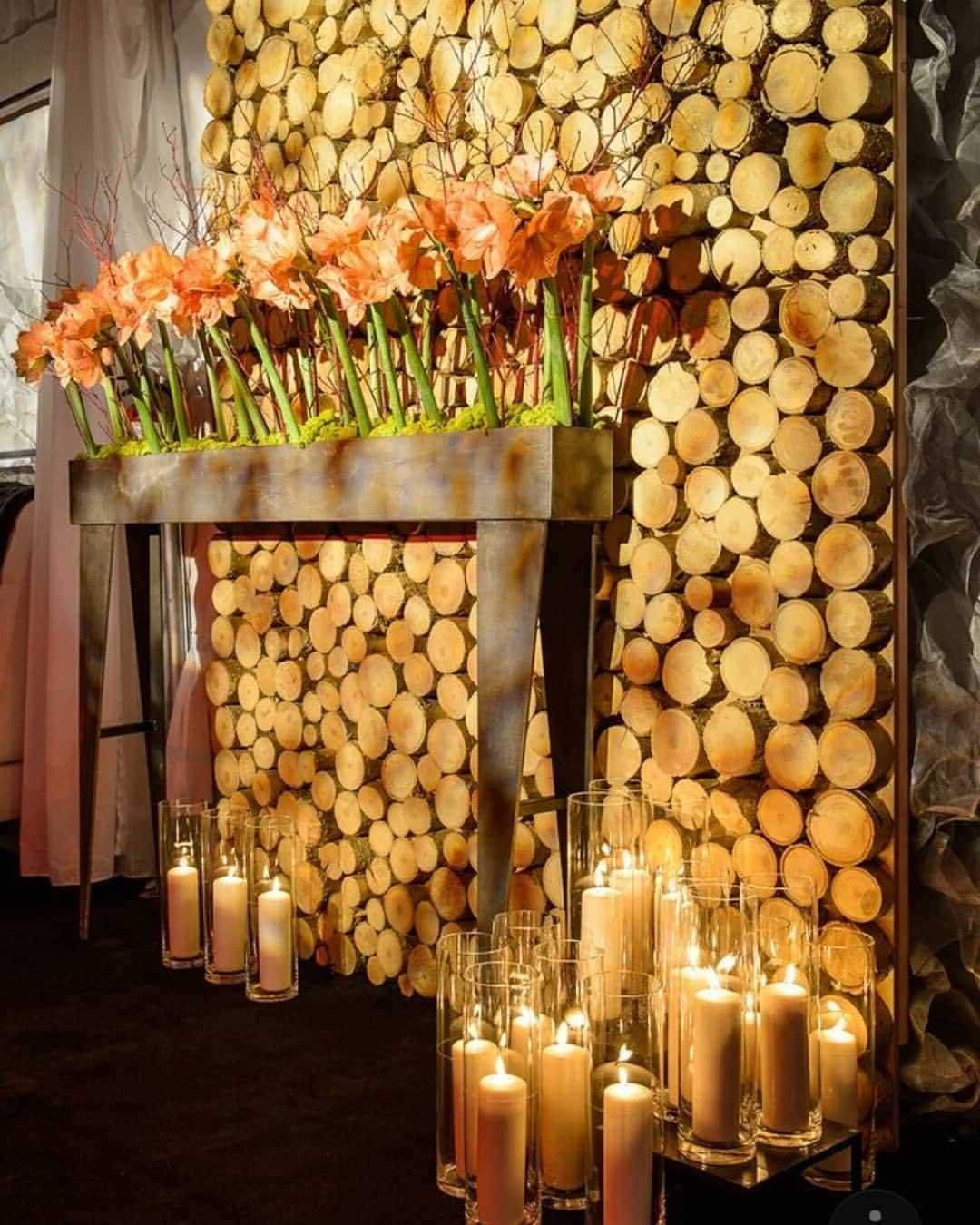 Спилы дерева для декора стены