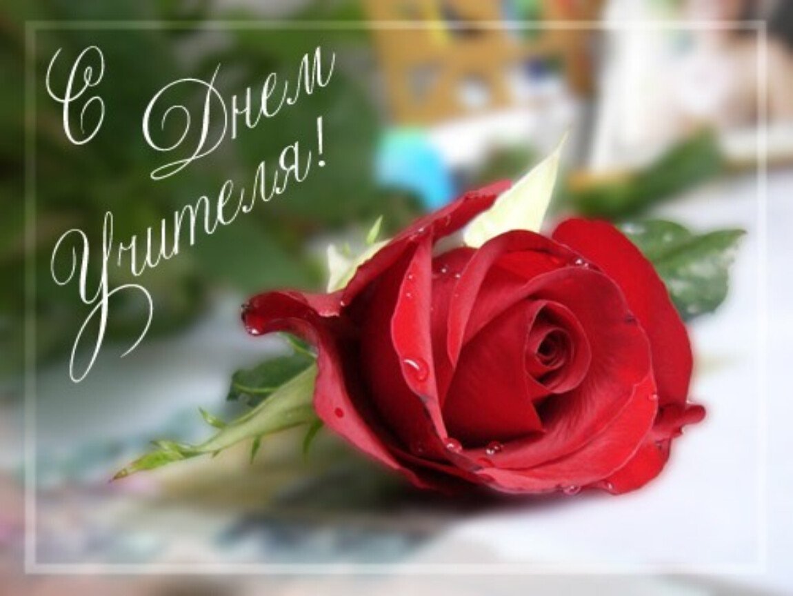 Поздравляем с днем учителя цветы