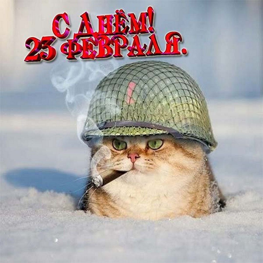 С 23 февраля