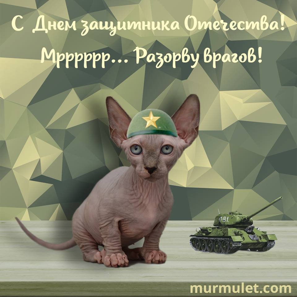 С прошедшим днем защитника отечества