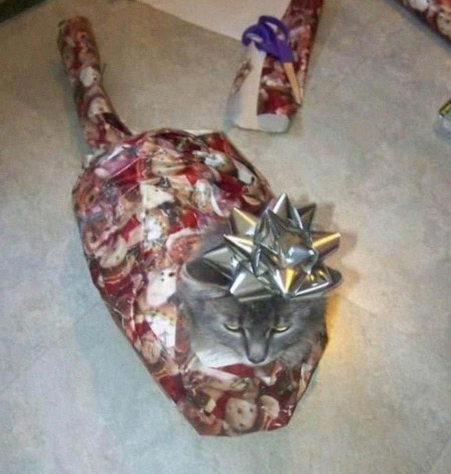 Упаковка подарка для мужчины