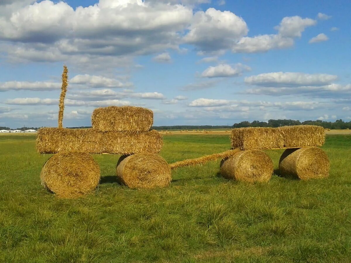 Скирда сноп