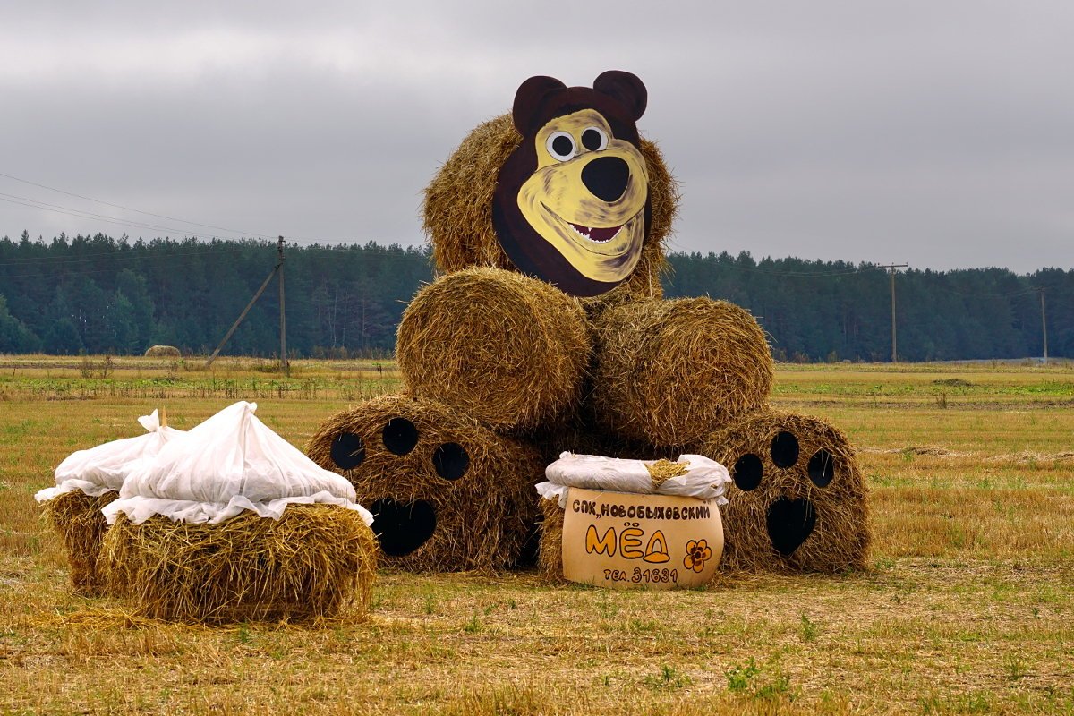 Композиции из сена