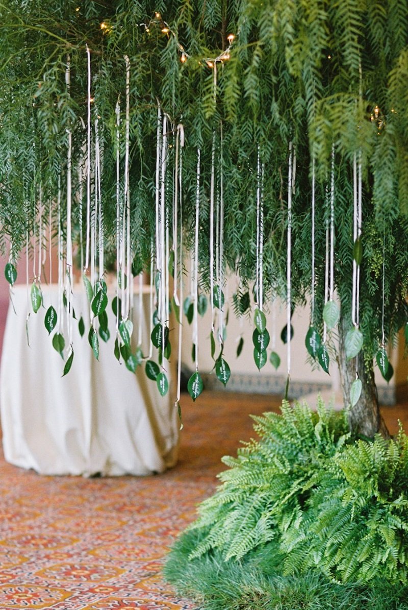 Фотозона с растениями