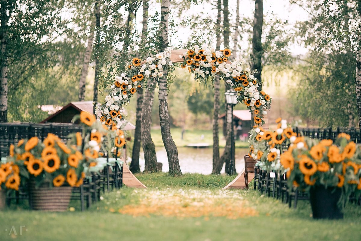 Арка, подсолнух