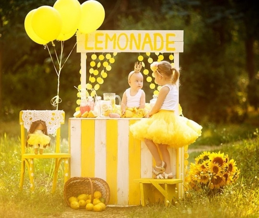 Изгородь из подсолнухов