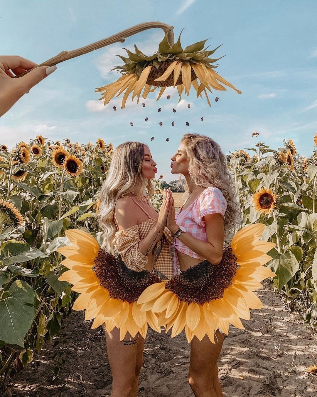 Фотозона с подсолнухами