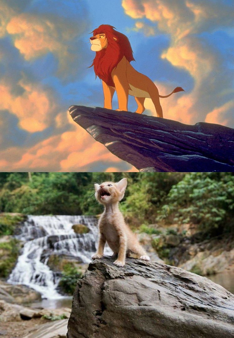 Фотозона с львенком шарами