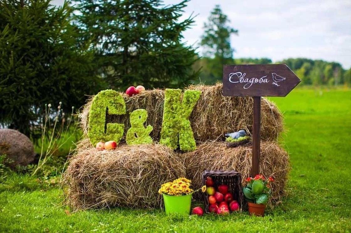 Настенная парковка для собак