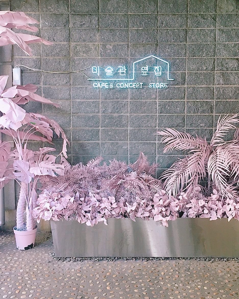 Сеул Эстетика софт