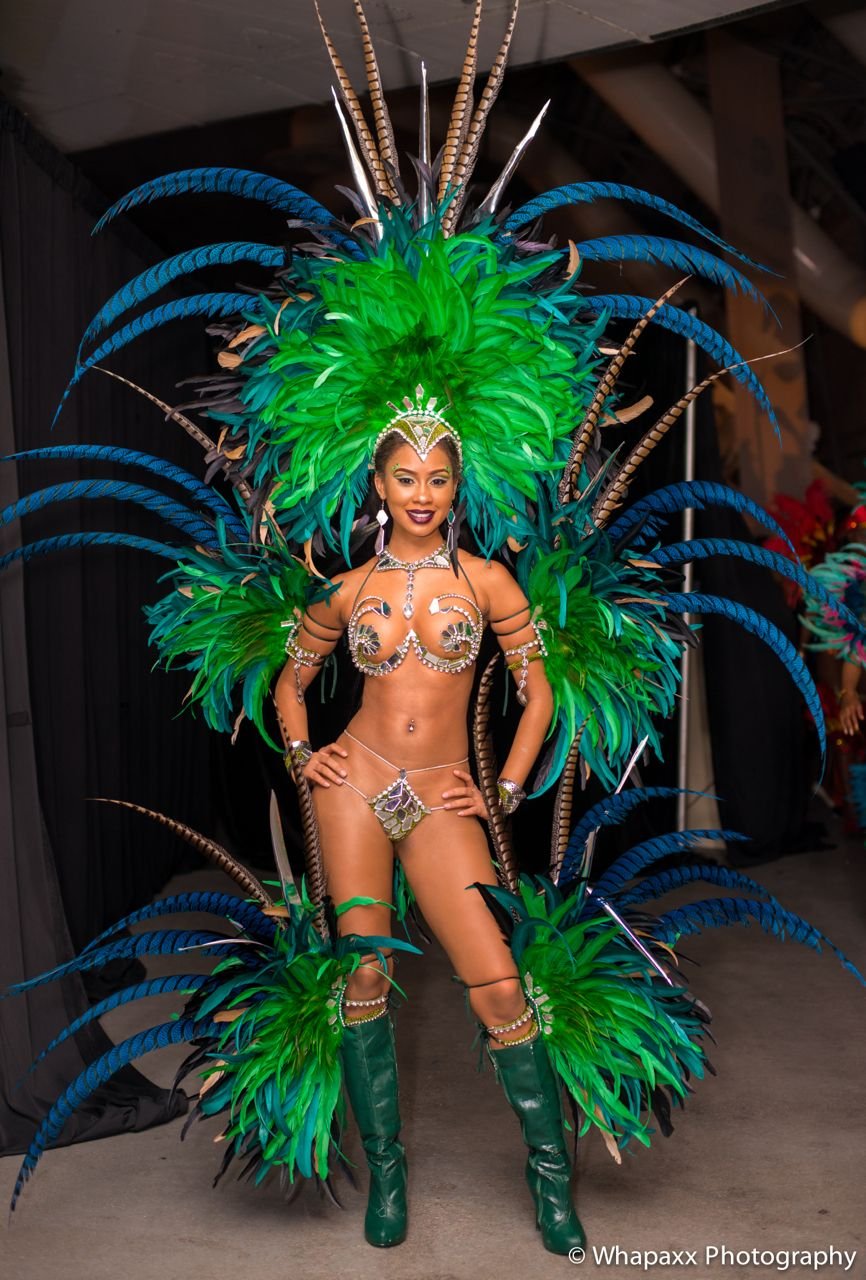 Карнавал Бразилия 1986