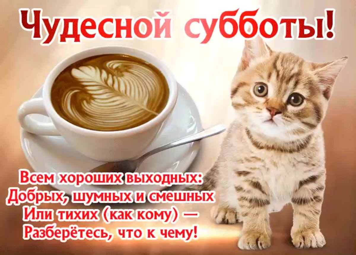 Солнечных выходных