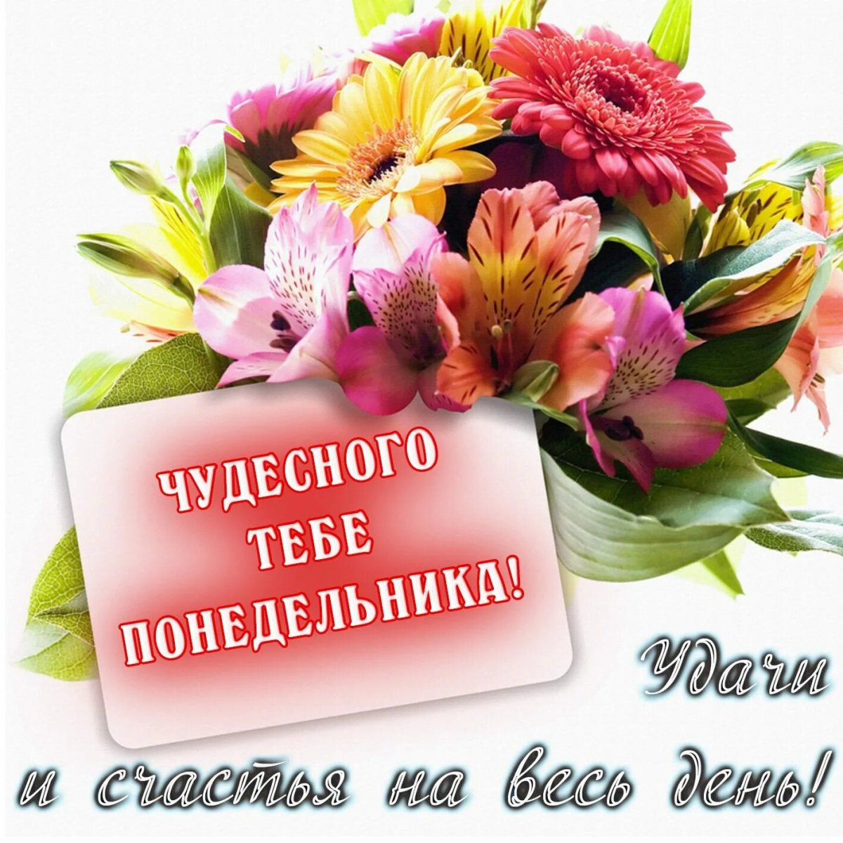 С добрым утром понедельника