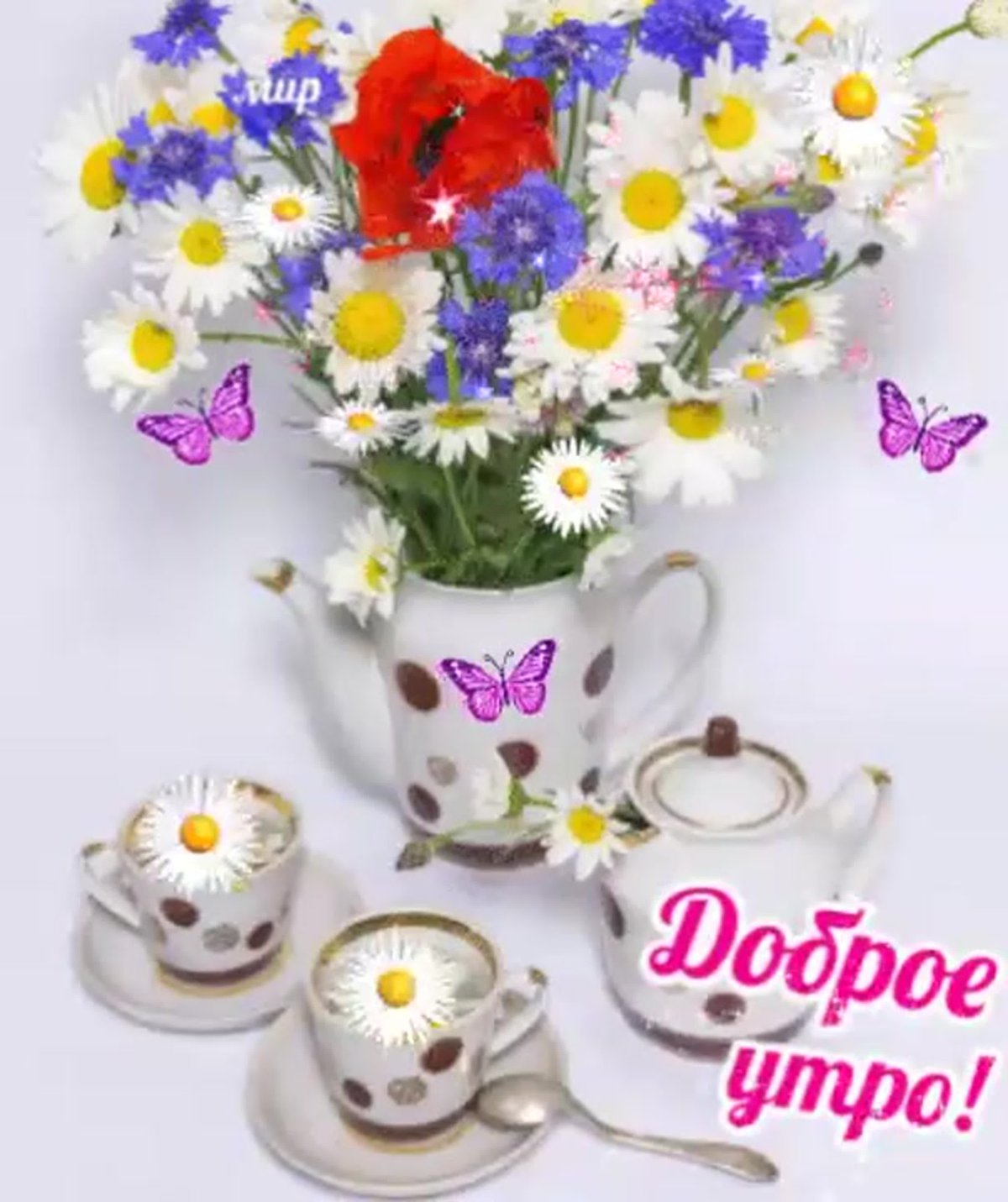 С добрым утром вторника