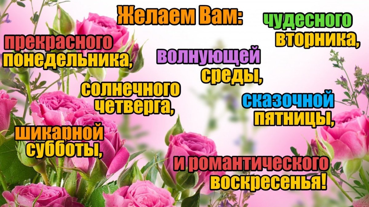 Пожелания на понедельник