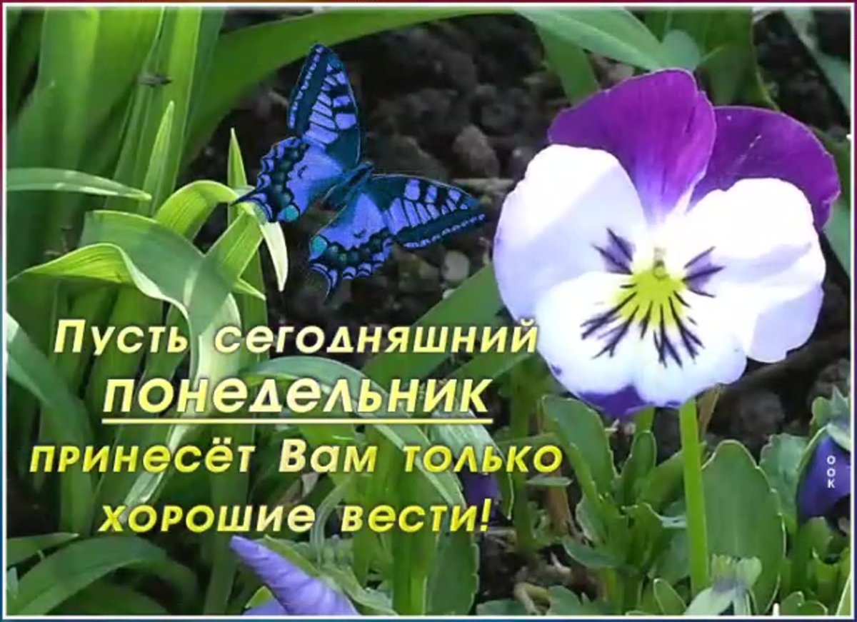 Доброе утро пожелания красивые