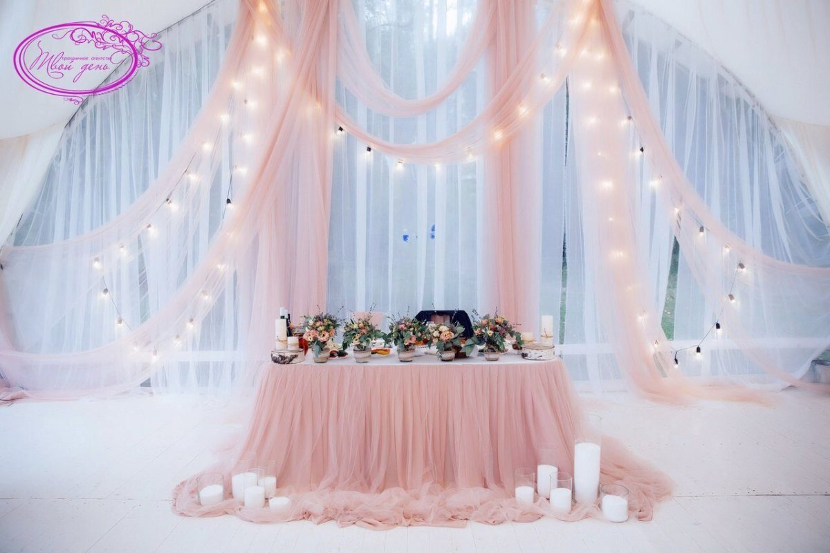 Президиум молодоженов в шатре