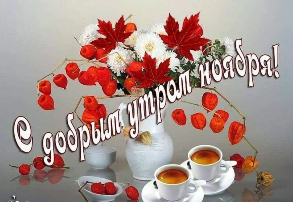 С бодрым ноябрьские утром