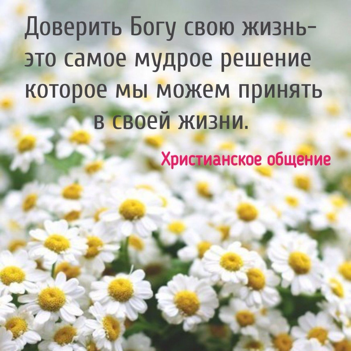 Христианское общение цитаты