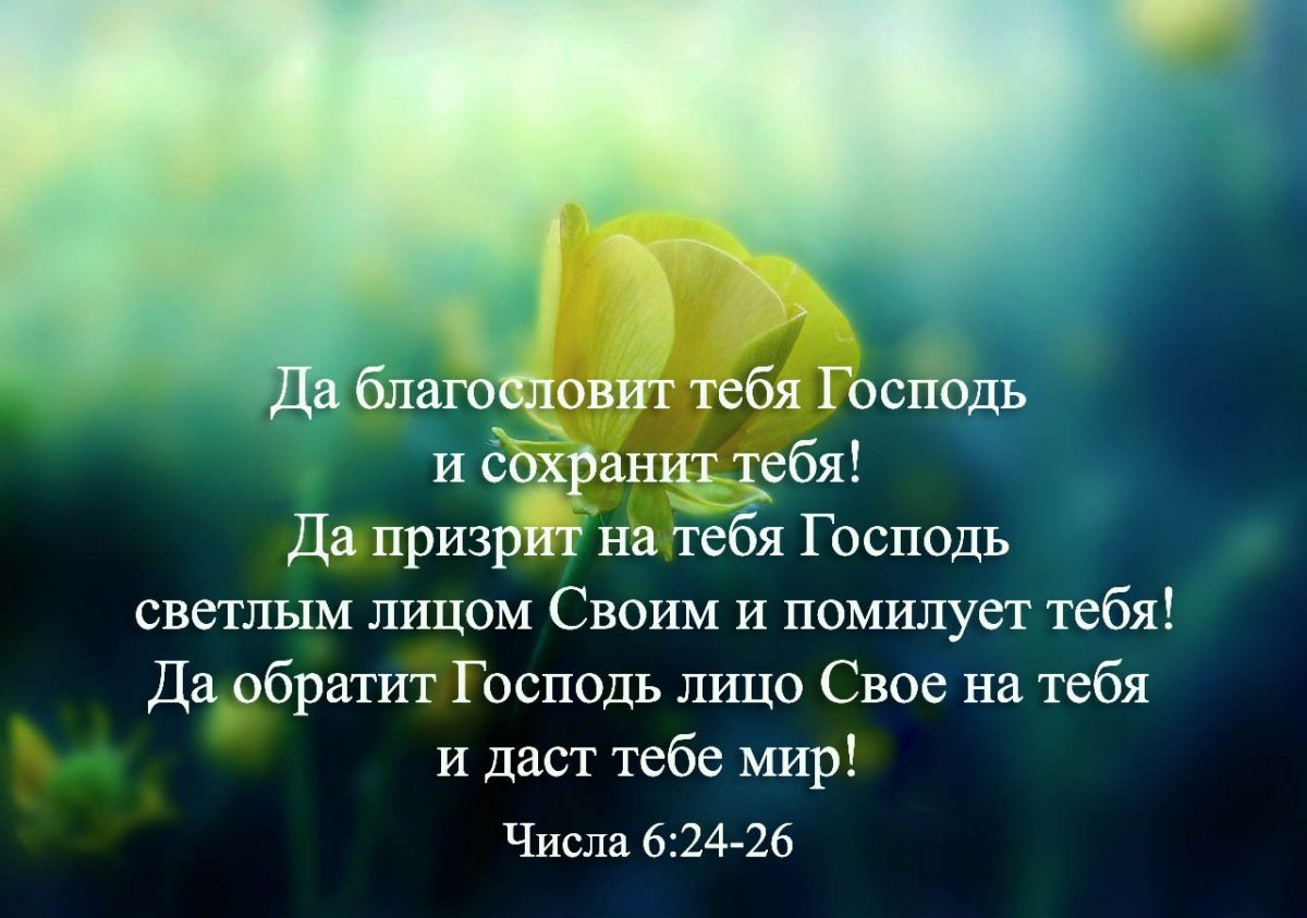 Да благословит тебя Господь