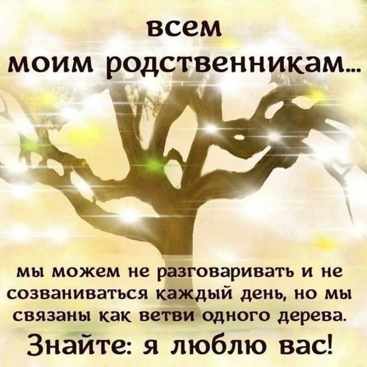 Цитаты про родственников