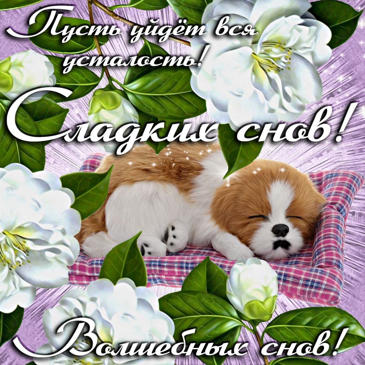 Спокойной ночи, Зайчонок