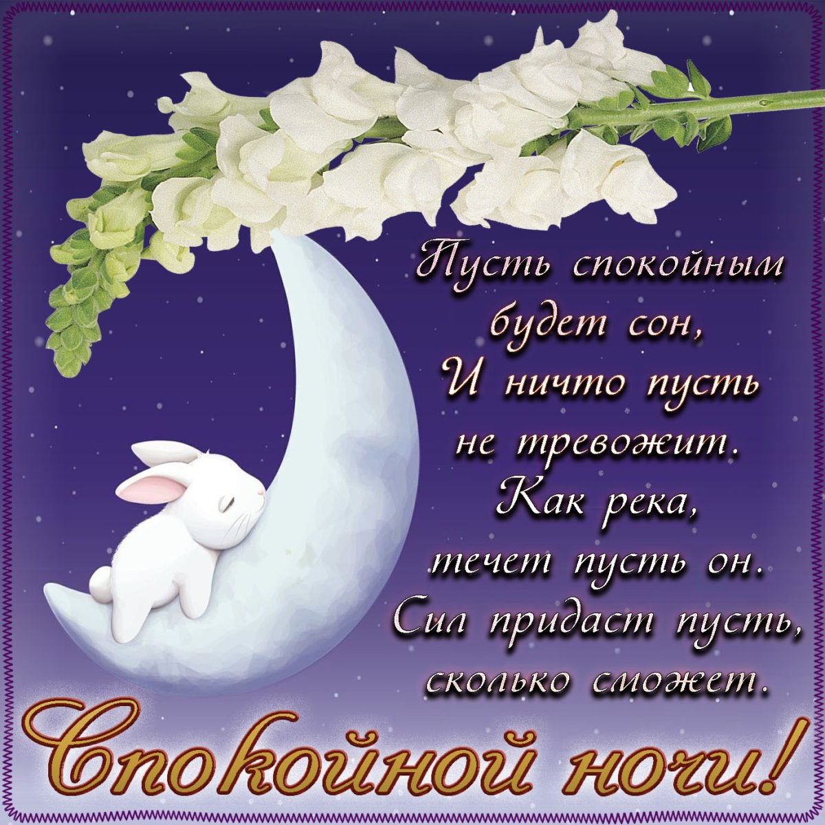 Спокойной тихой ночи
