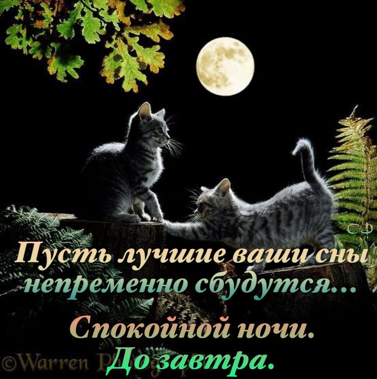 Стихи спокойной ночи