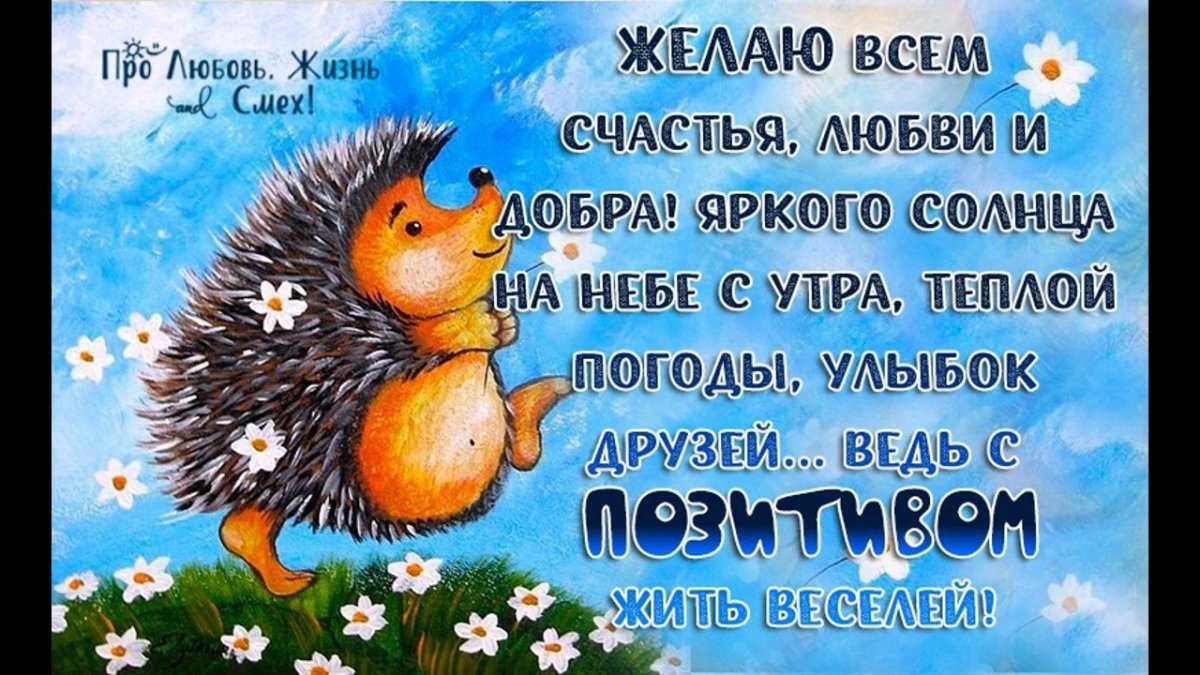 Доброе утро цитаты