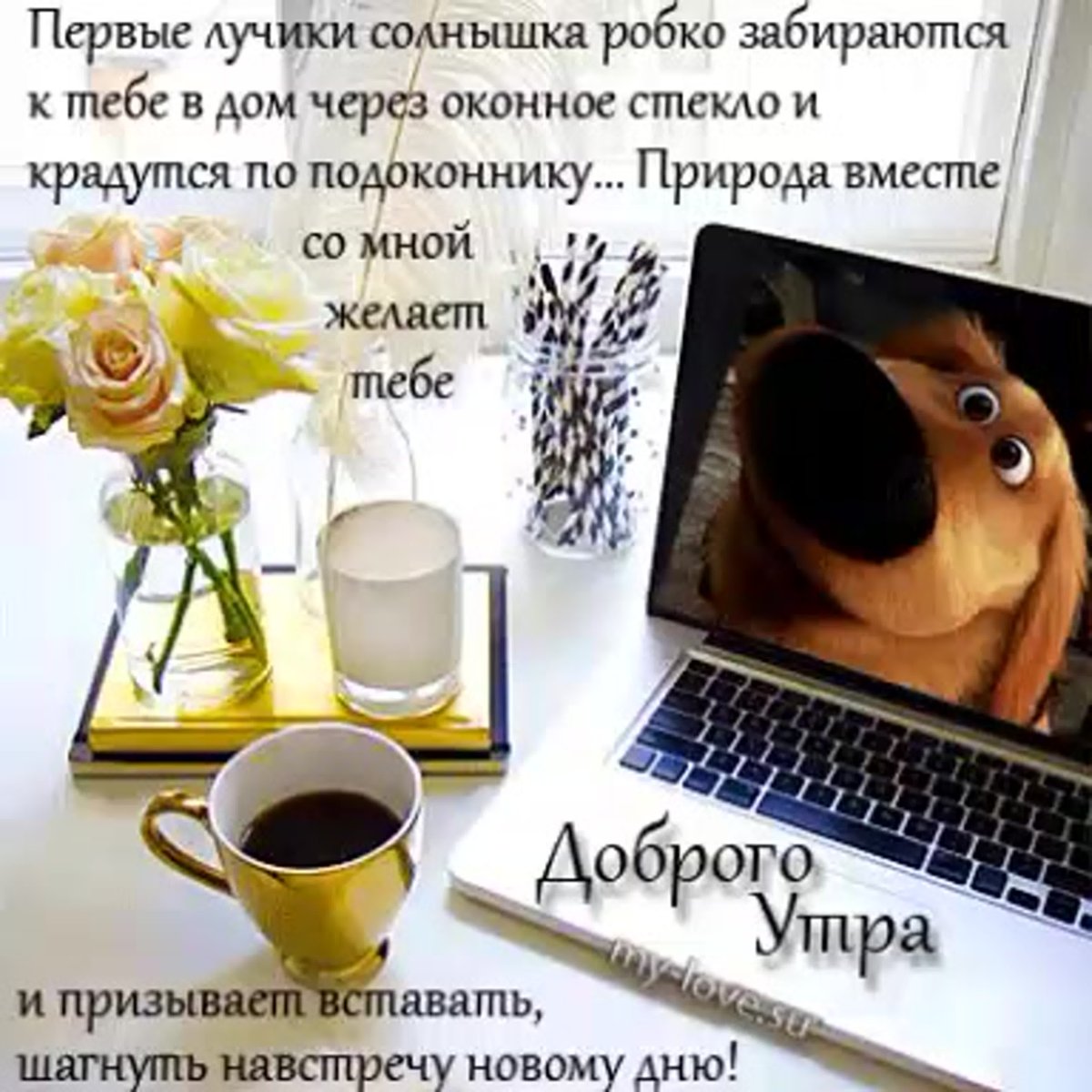 Позитивные высказывания