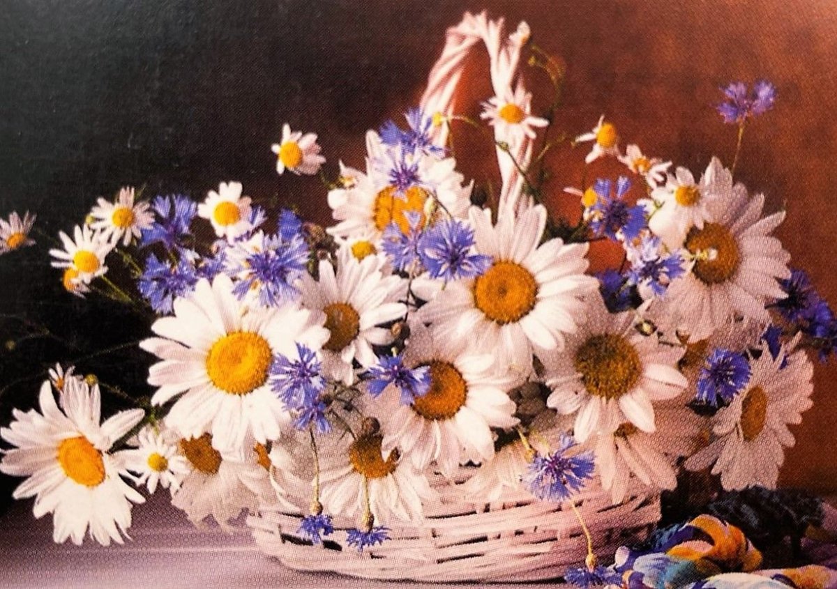 Любви и тепла вашему дому