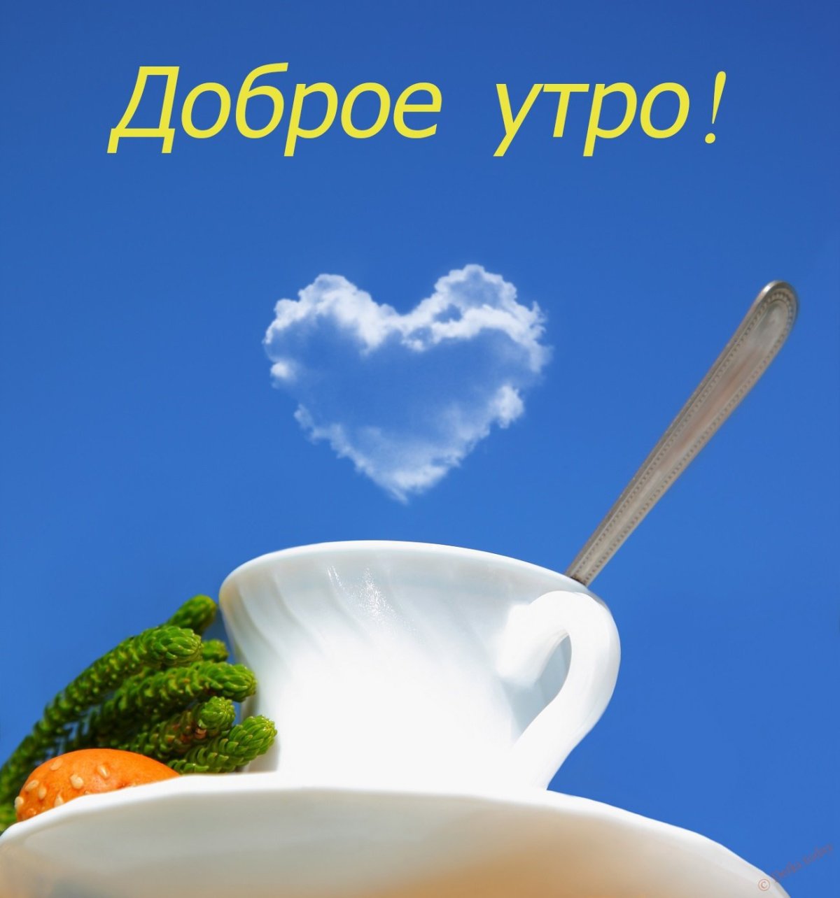 Открытки с пожеланиями доброго дня