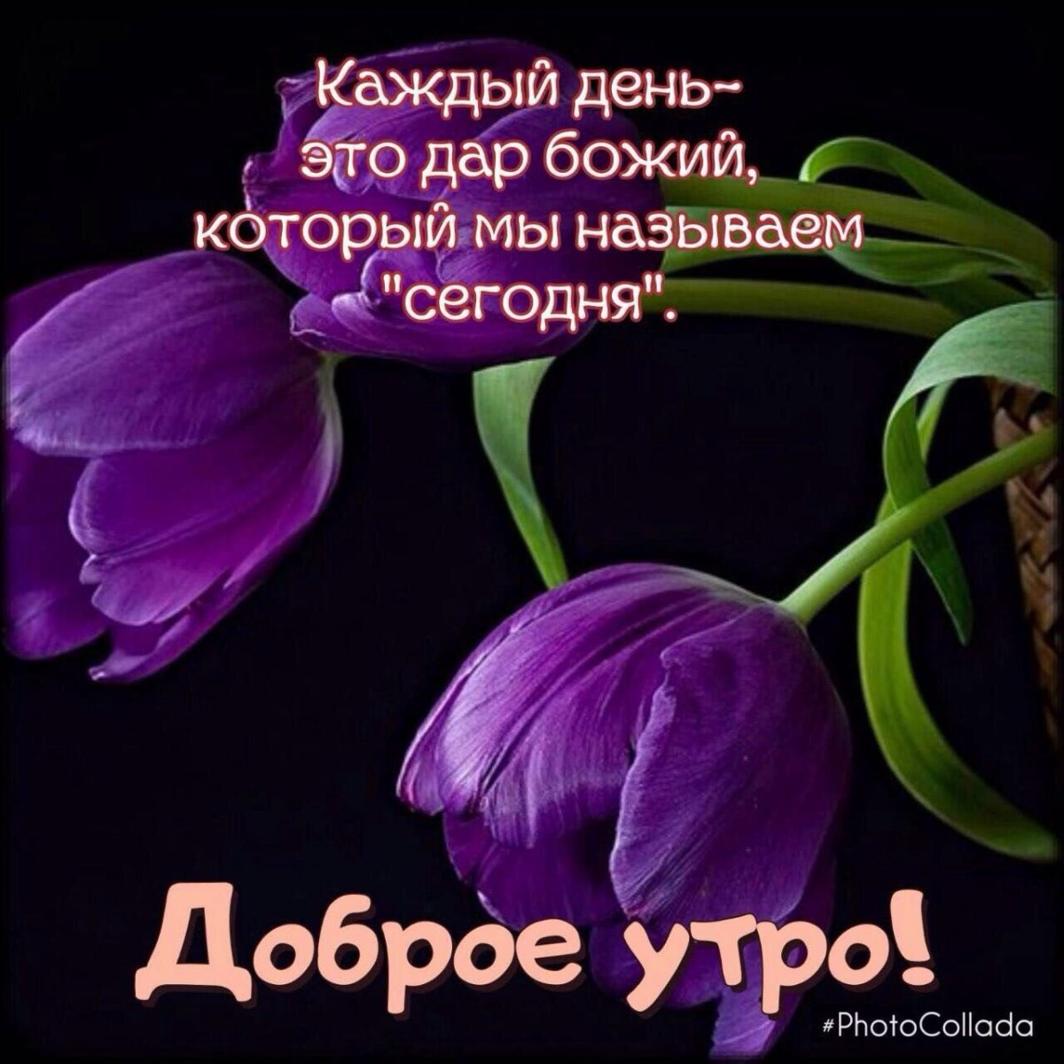 Поздравления с добрым