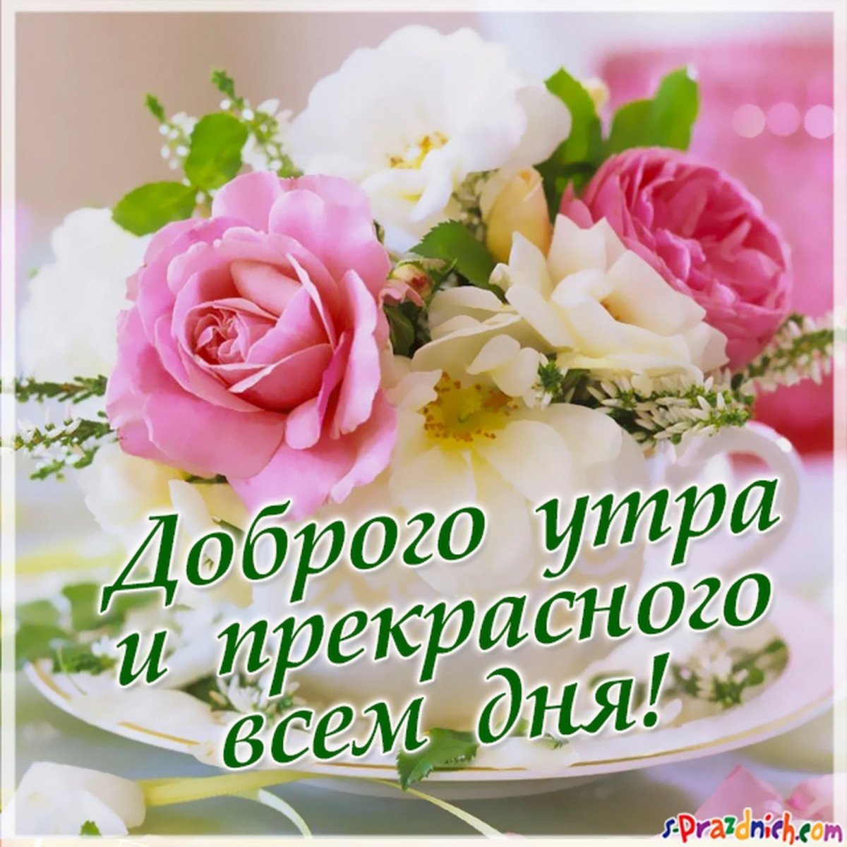 Доброго утро и отличногл настроения