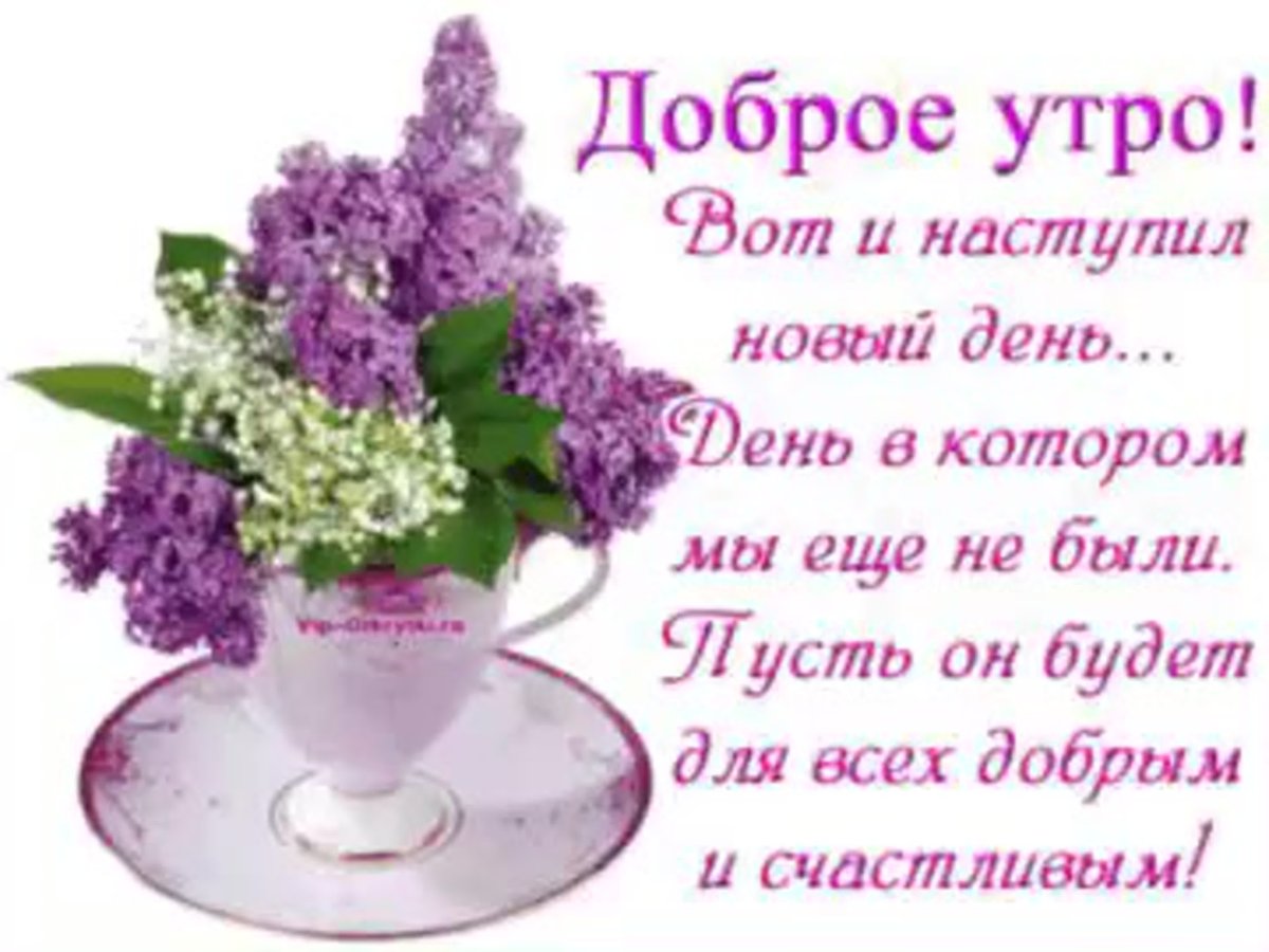 Доброго весеннего утра и хорошего дня