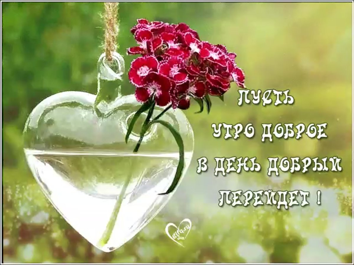 Пожелания с добрым утром со смыслом