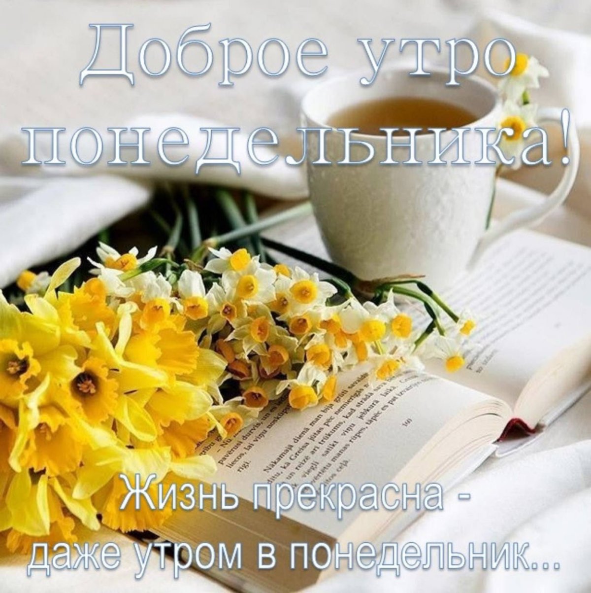 Открытки с добрым утром понедельника