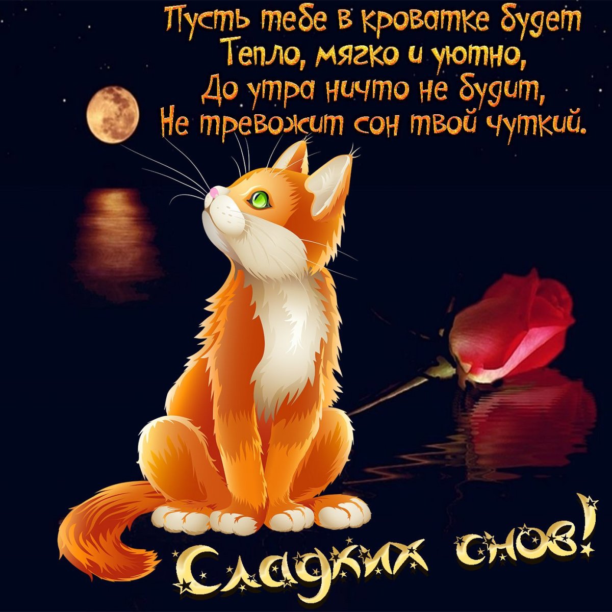 Открытки поздравления с добрым вечером