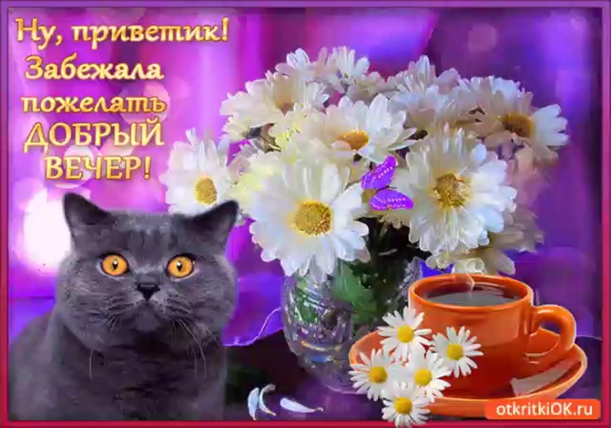 Веселые поздравления с добрым вечером